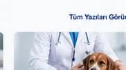 Acil Veteriner Başvurusu Gerektiren Durumlar
