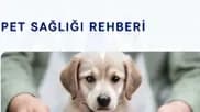 Köpeklerde Kalp Hastalığı Belirtileri